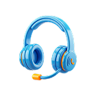 Audio support call